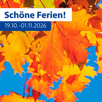 Orangefarbenes Laub vor blauem Himmel. Die REVG wünscht "schöne Ferien".
